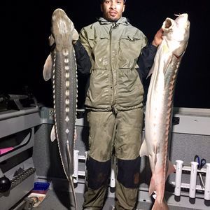 Meet your Posher, Joey